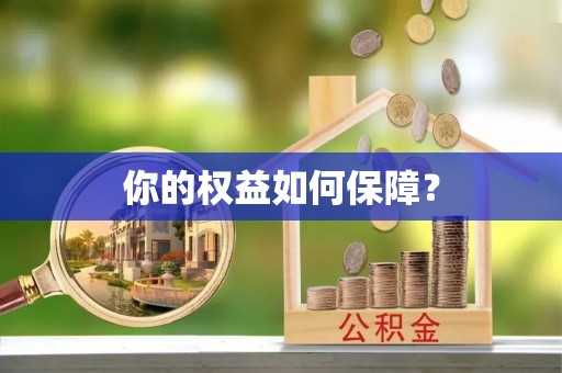 浉河你的权益如何保障？