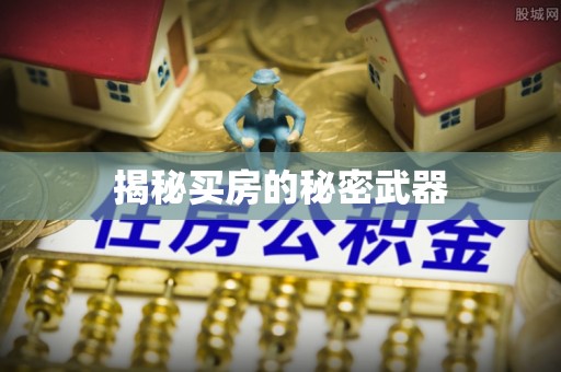 浉河揭秘买房的秘密武器