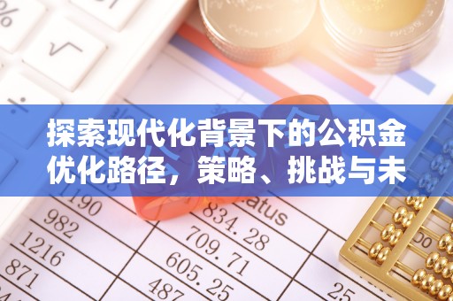 浉河探索现代化背景下的公积金优化路径，策略、挑战与未来展望