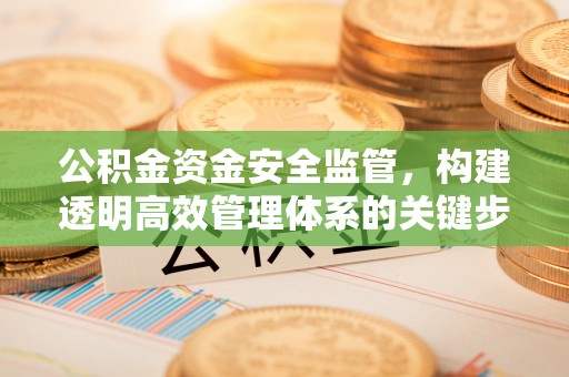 浉河公积金资金安全监管，构建透明高效管理体系的关键步骤