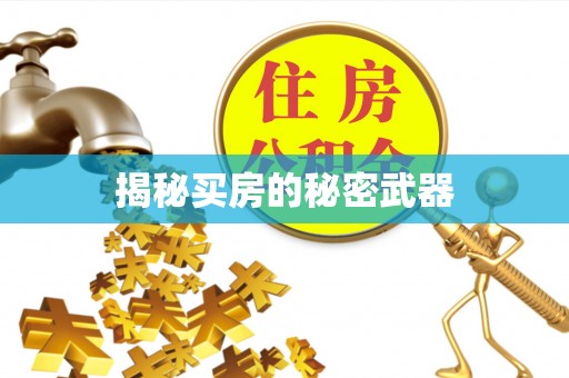 浉河揭秘买房的秘密武器