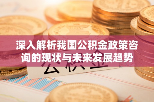 浉河深入解析我国公积金政策咨询的现状与未来发展趋势