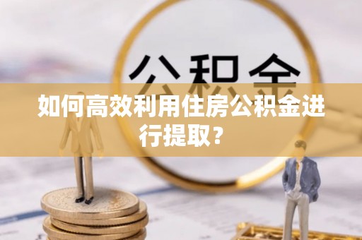 浉河如何高效利用住房公积金进行提取？