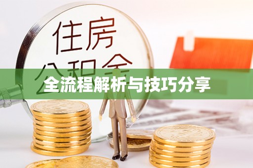 浉河全流程解析与技巧分享